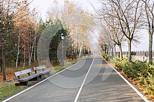 Fragment of the Mezhyhirya landscape park near Kiev, Ukraine.