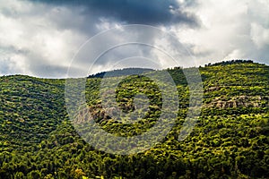 Fragment of Mount Carmel