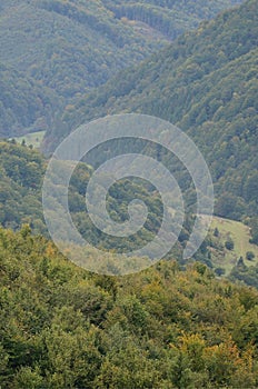 Fragment of the mountainous terrain in the Carpathians, Ukraine. The forest is forgiven by the reliefs of the Carpathian Mountains