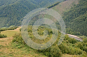 Fragment of the mountainous terrain in the Carpathians, Ukraine. The forest is forgiven by the reliefs of the Carpathian Mountains