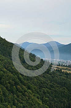 Fragment of the mountainous terrain in the Carpathians, Ukraine. The forest is forgiven by the reliefs of the Carpathian Mountains