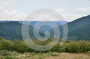 Fragment of the mountainous terrain in the Carpathians, Ukraine. The forest is forgiven by the reliefs of the Carpathian Mountains