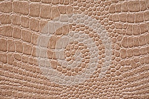 Fragment of natural skin of a reptile artificially dyed in bright brown color close-up