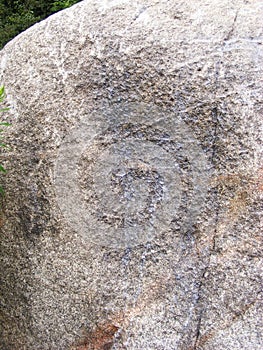 Fragment of old boulder with imprint of dinasaur