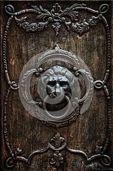 Bronze door handle in the shape of a lion`s head.