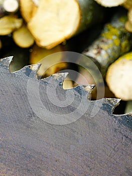 A fragment of a old circular saw blade with large teeth and sawn wood in a blurred background