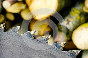 A fragment of a old circular saw blade with large teeth and sawn wood in a blurred background