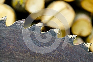 A fragment of a old circular saw blade with large teeth and sawn wood in a blurred background