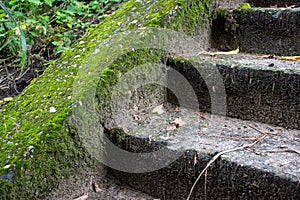 A fragment of an old concrete staircase overgrown with moss.Old stone stairs with moss and weeds.Deserted abandoned city