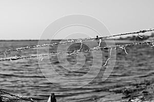 Fragment of an old fishing net on the background of the river bank. Monochrome. Eye level shooting. Soft focus.