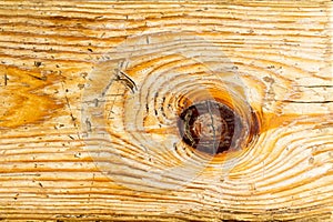 Fragment of old kiln-dried scratched wooden board as background.