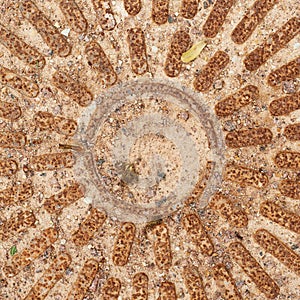 Fragment of an old rusty manhole