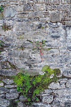 Fragment of old stone wall