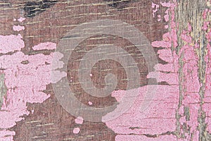 Fragment of old wooden panel with peeling pink paint on surface and small cracks clogged with dry river sand closeup. Grunge