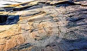 Fragment Of Onega Petroglyphs On The Cape Besov Nos photo