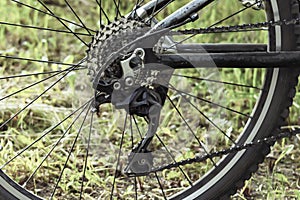 Fragment of rear wheel of bicycle on background of green grass.