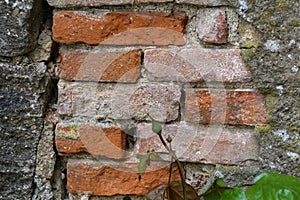 Fragment of a red brick house wall