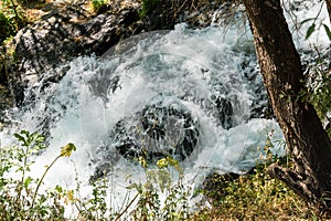 A fragment of a rocky bank of a stream in the mountains of Armenia.