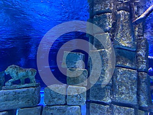 Fragment of ruins of underwater Kekova city