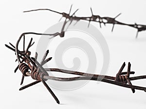 Fragment of rusty barbed wire on a white background. Symbol of fear of unfreedom of war