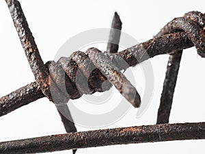 Fragment of rusty barbed wire on a white background. Symbol of fear of unfreedom of war