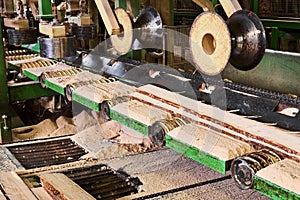 Fragment of sawmill machinery inside a modern timber mill