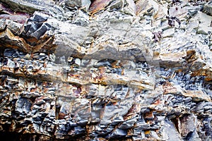 Fragment of sedimentary rock