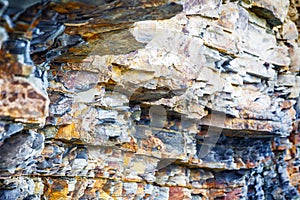 Fragment of sedimentary rock