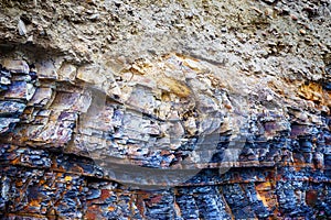 Fragment of sedimentary rock