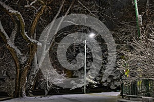 A fragment of a snow-covered park with a lonely lantern