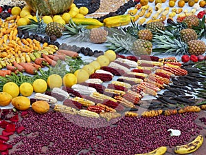 Fragment of spiritual ritual Chacana, Ecuador