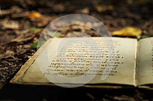 A fragment of text in ancient manuscript book in Old Slavonic Old Russian Cyrillic language. Autumn forest