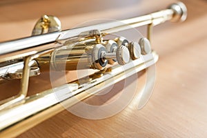 Fragment of a trumpet