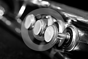 Fragment trumpet closeup