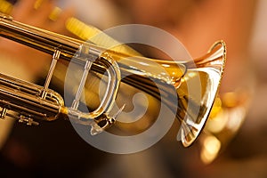 Fragment trumpet photo