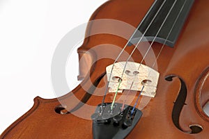 Fragment of violin on white background