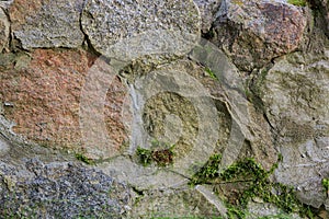 Fragment of a wall made of natural chipped stone covered with moss