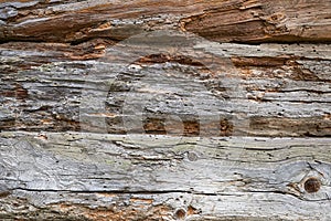 A fragment of a wall made of wooden logs