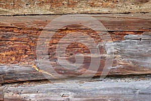 A fragment of a wall made of wooden logs. Texture, background