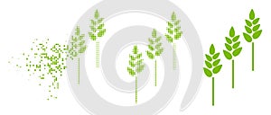 Fragmented Dot Halftone Wheat Plants Icon