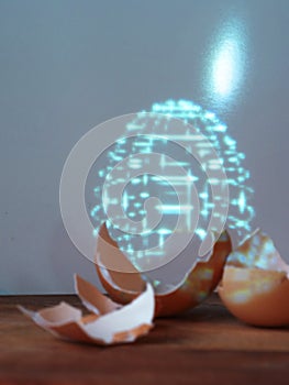 Fragments of eggshells and a hologram of an entire artificial egg. Life extension and rejuvenation