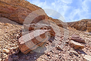 Fragments of erosive sand cliffs in the Red Canyon. Israel