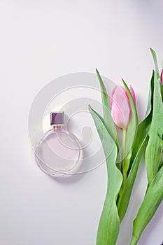 fragnance and pink tulip-romantic composition. bottle of perfume and an envelope. postcard design