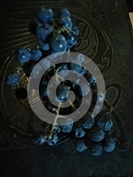 Fragolino black grapes raising for winemaking   fruit