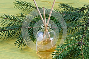 Fragrance coniferous sticks or Scent diffuser