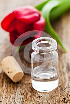 Fragrance oil photo