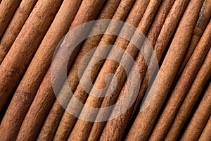 Fragrant cinnamon sticks laid out diagonally