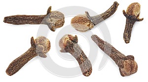 Fragrant clove buds isolated on white, set