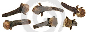 Fragrant clove buds isolated on white, set