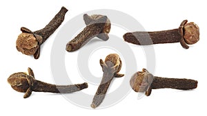 Fragrant clove buds isolated on white, set